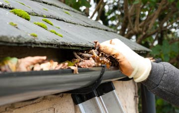 gutter cleaning Lower Vexford, Somerset