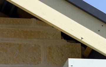 soffit repair Lower Vexford
