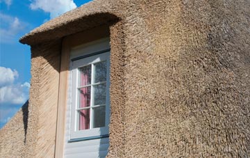 Lower Vexford thatch roof disadvantages